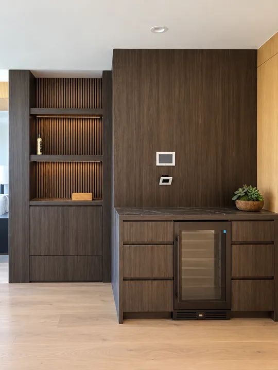 Dark wood built-in storage with illuminated shelves